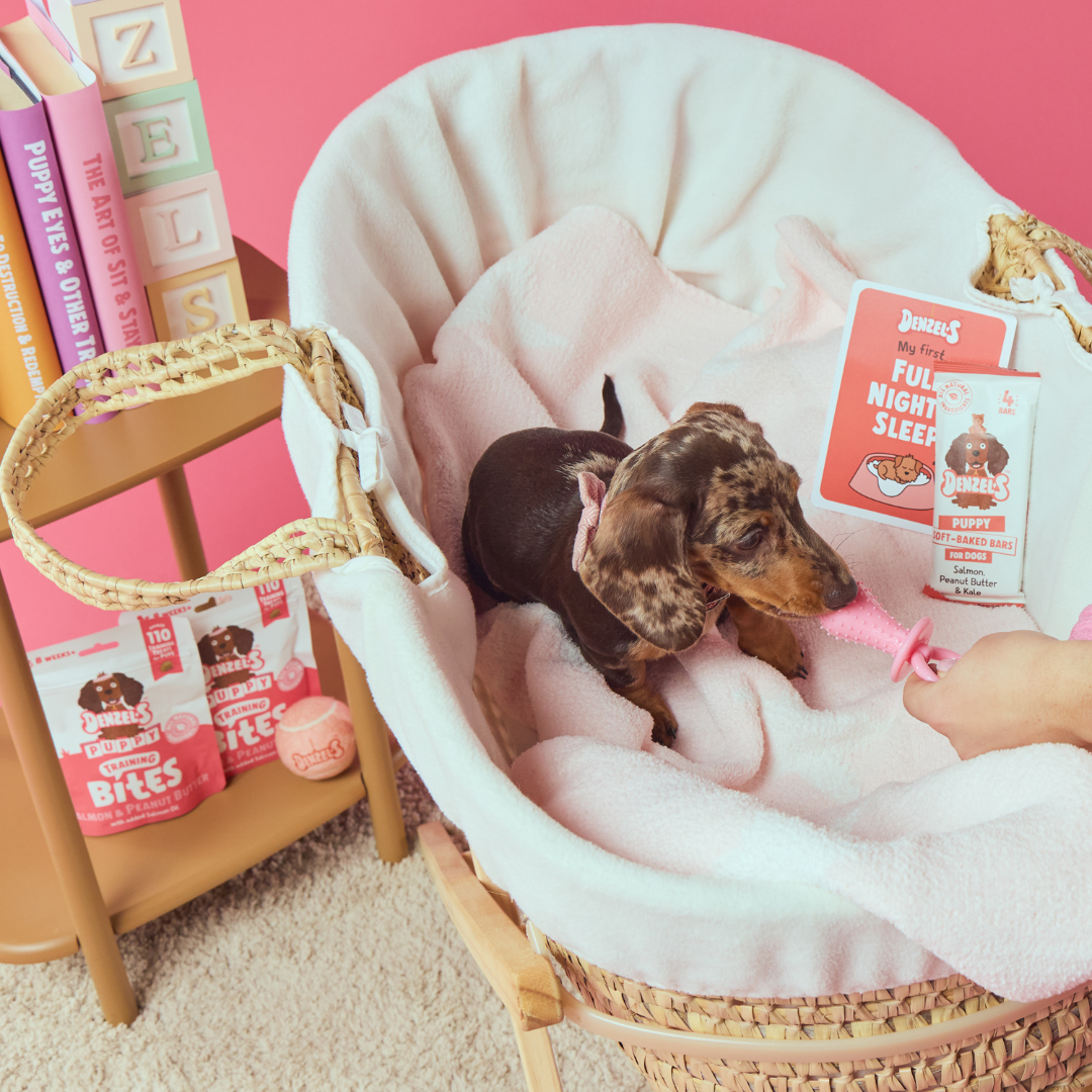 Puppy Soft-Baked Sticks