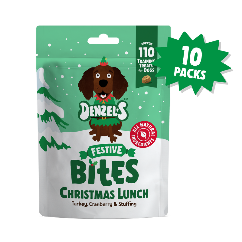 Christmas Lunch Bites 10-Pack