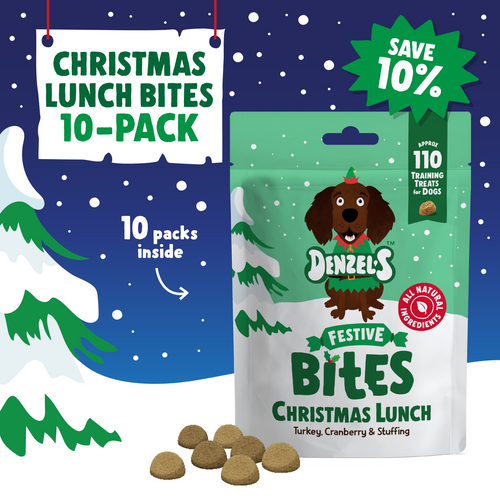 Christmas Lunch Bites 10-Pack