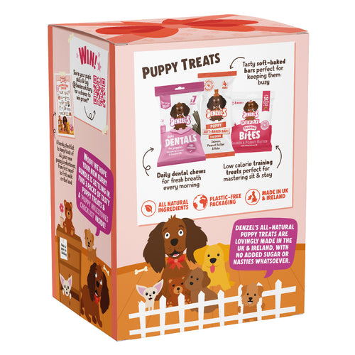 Puppy Gift Box