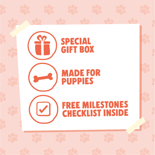 Puppy Gift Box